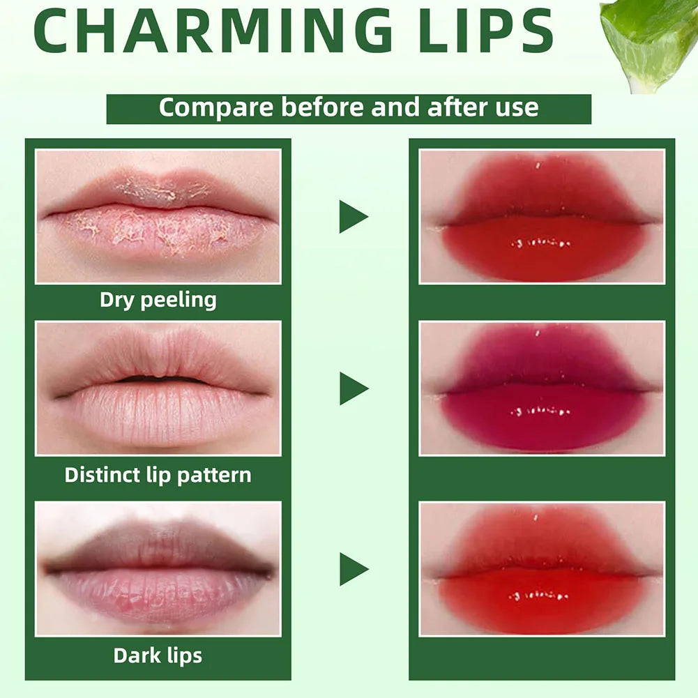 Set of 6 Aloe Vera Lip & Cheek Tints – Long-Lasting Hydrating Gloss