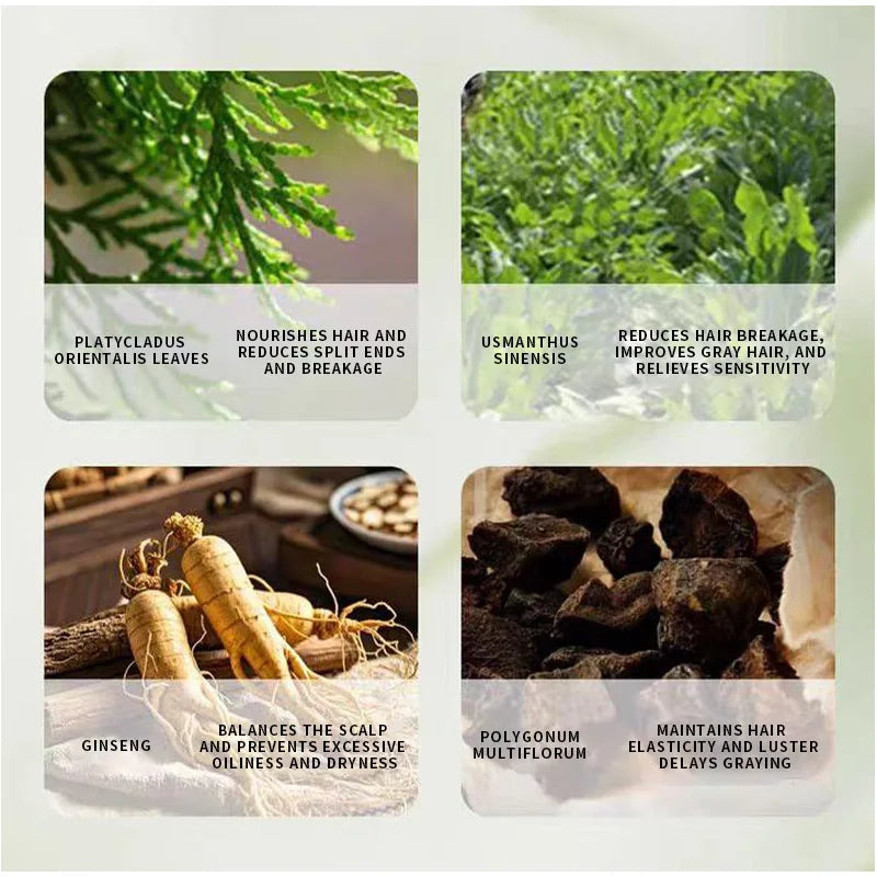 Shampoing Solide Plantes Orientales – Anti-Chute, Anti-Pellicules & Volume | He Shou Wu & Usma